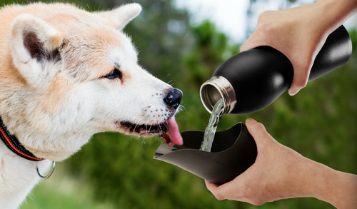 25 Oz Water Bottle by Mobile Dog Gear