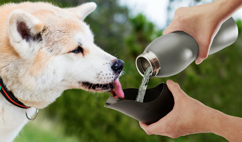 25 Oz Water Bottle by Mobile Dog Gear