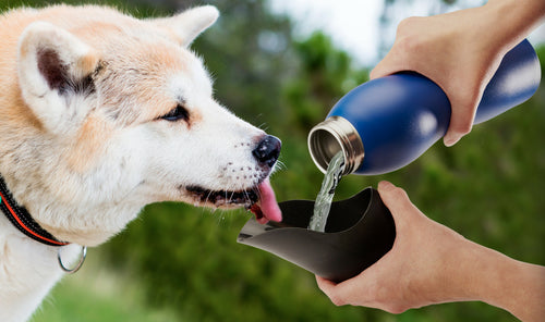 25 Oz Water Bottle by Mobile Dog Gear