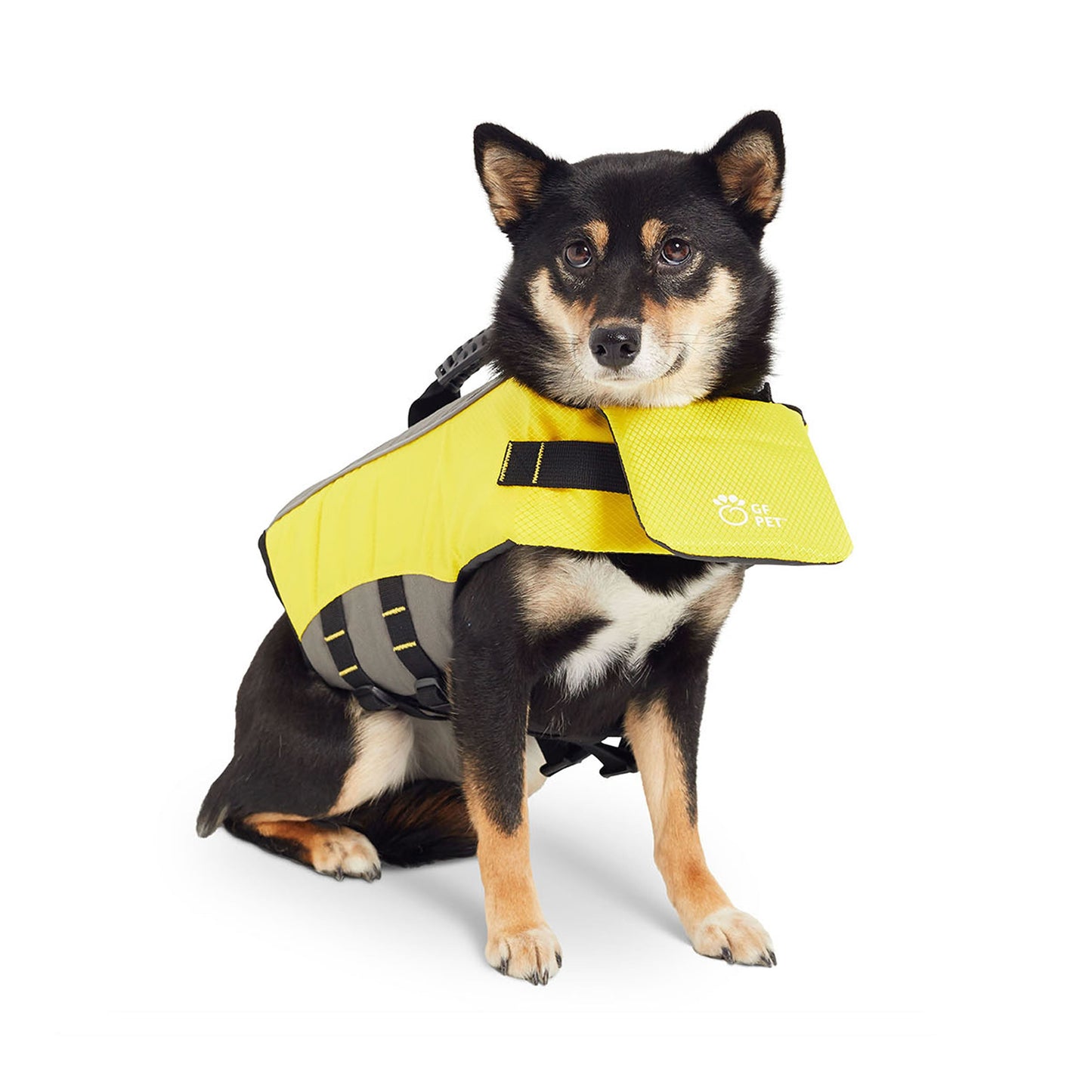 Dog Life Vest