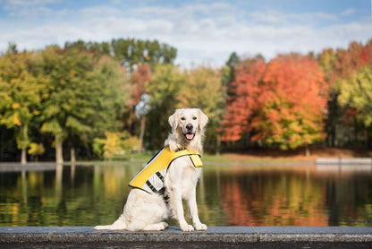 Dog Life Vest