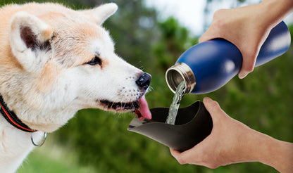25 Oz Water Bottle by Mobile Dog Gear