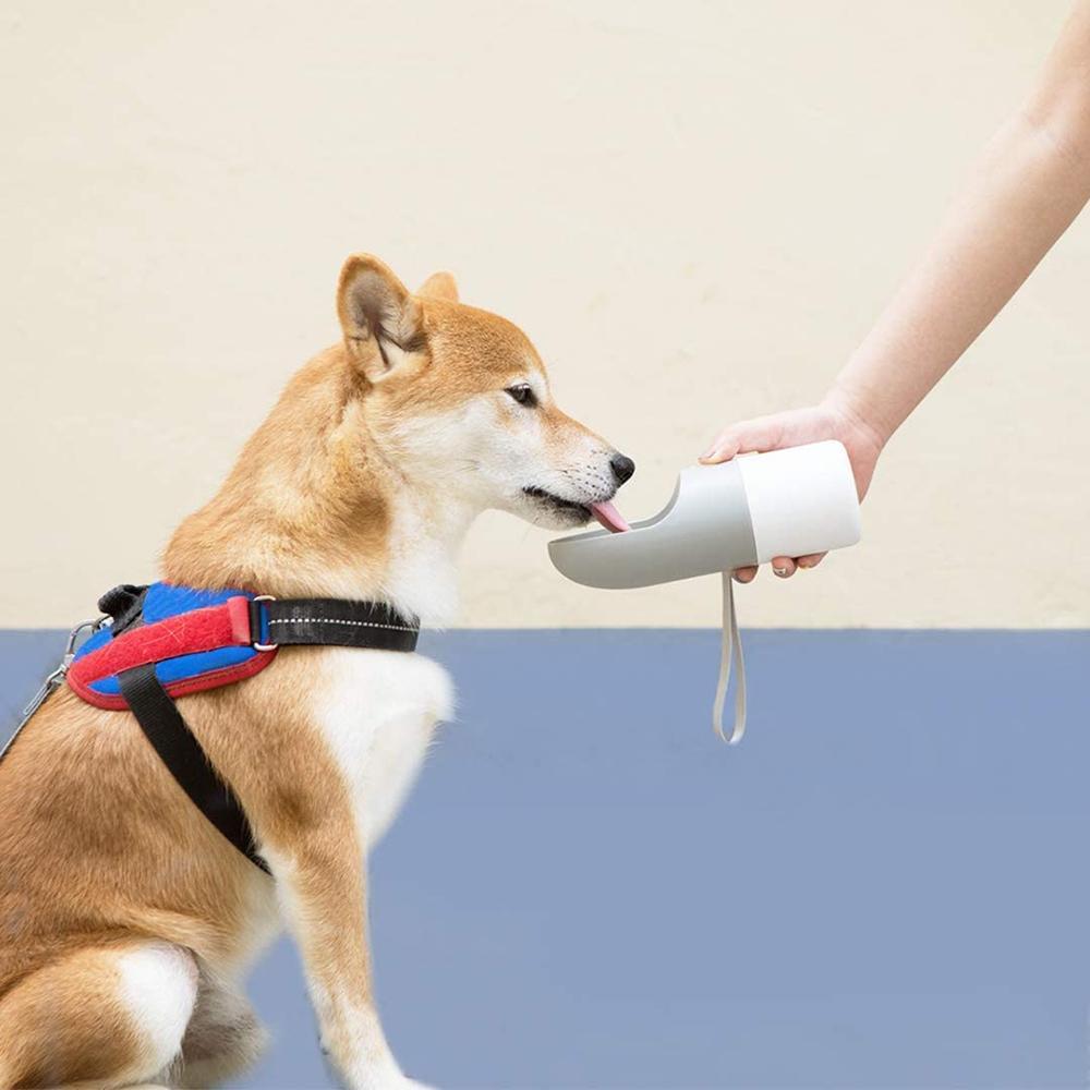 Rover Pet Travel Bottle by Instachew