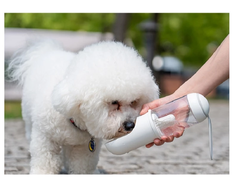 Outdoor Travel Pet Water Bottle